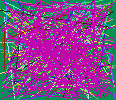 phone number lookup
