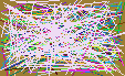 reverse telephone lookup